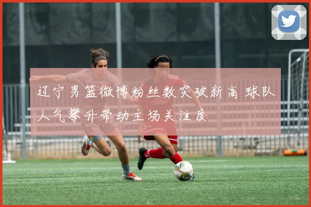 辽宁男篮微博粉丝数突破新高 球队人气攀升带动主场关注度