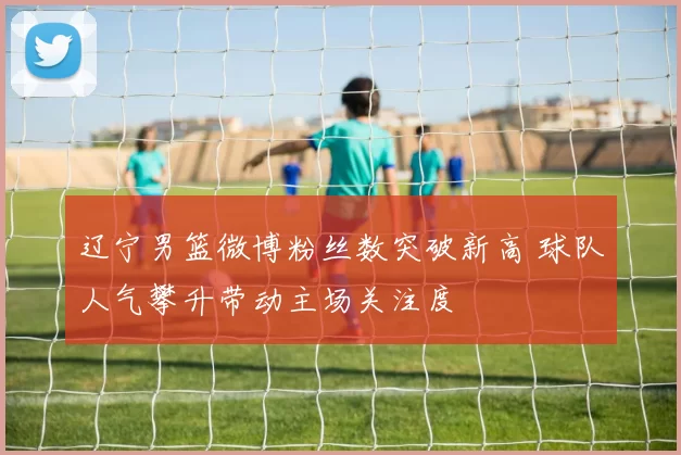 辽宁男篮微博粉丝数突破新高 球队人气攀升带动主场关注度
