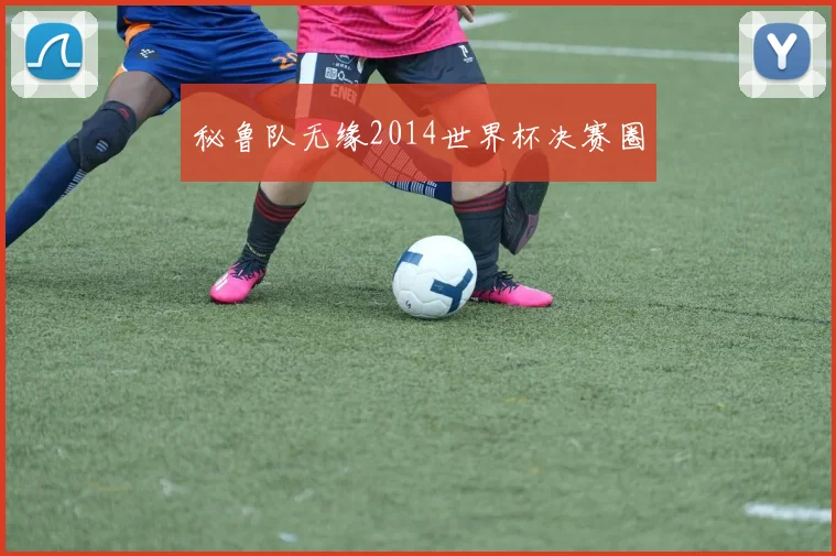 秘鲁队无缘2014世界杯决赛圈