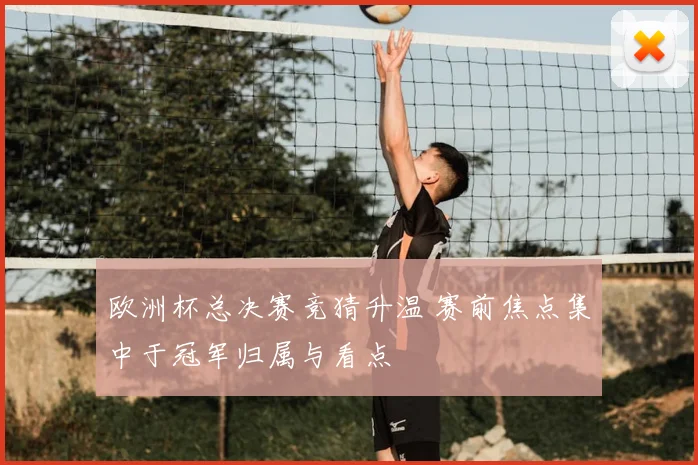 欧洲杯总决赛竞猜升温 赛前焦点集中于冠军归属与看点