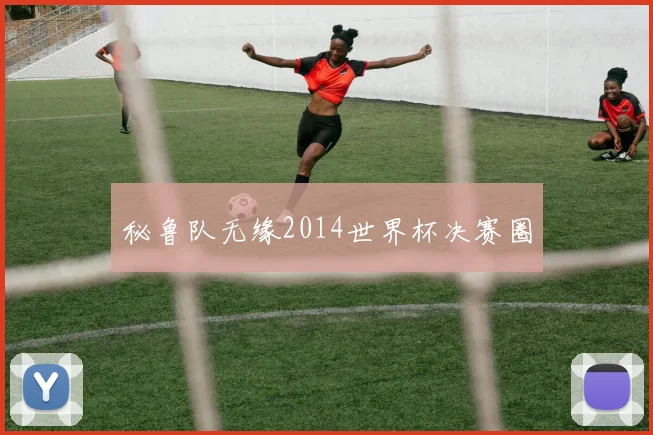 秘鲁队无缘2014世界杯决赛圈